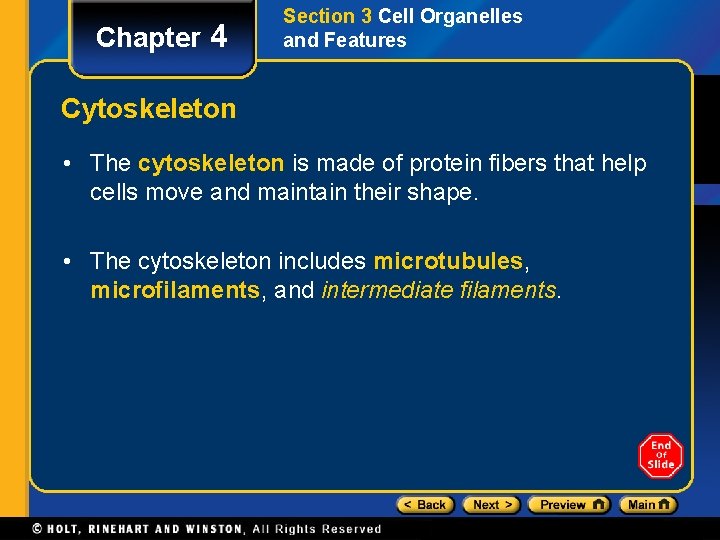 Chapter 4 Section 3 Cell Organelles and Features Cytoskeleton • The cytoskeleton is made