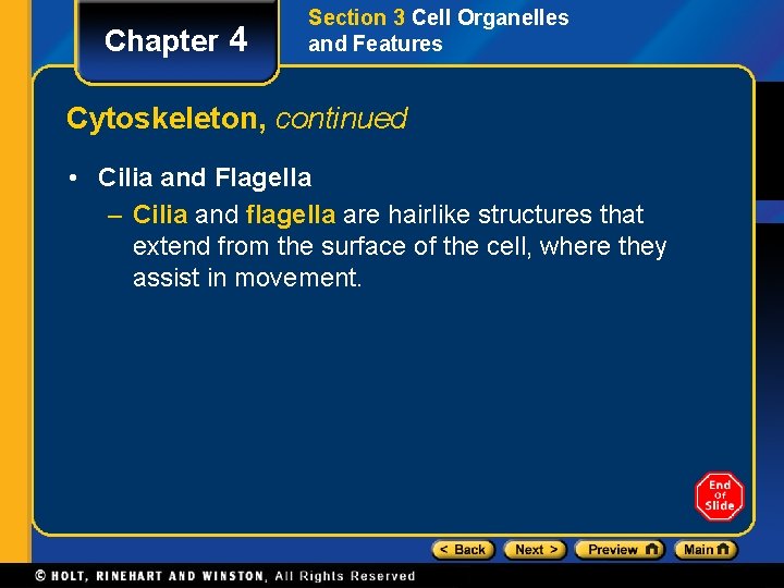 Chapter 4 Section 3 Cell Organelles and Features Cytoskeleton, continued • Cilia and Flagella