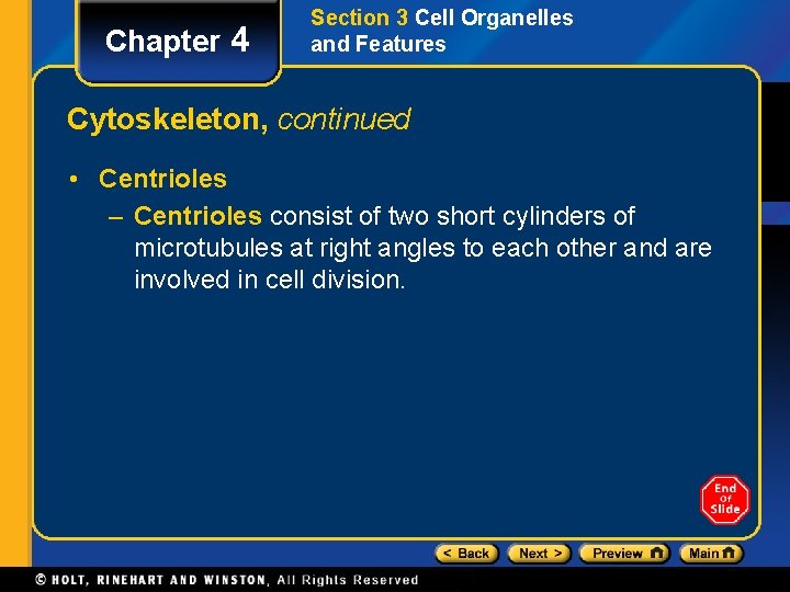 Chapter 4 Section 3 Cell Organelles and Features Cytoskeleton, continued • Centrioles – Centrioles