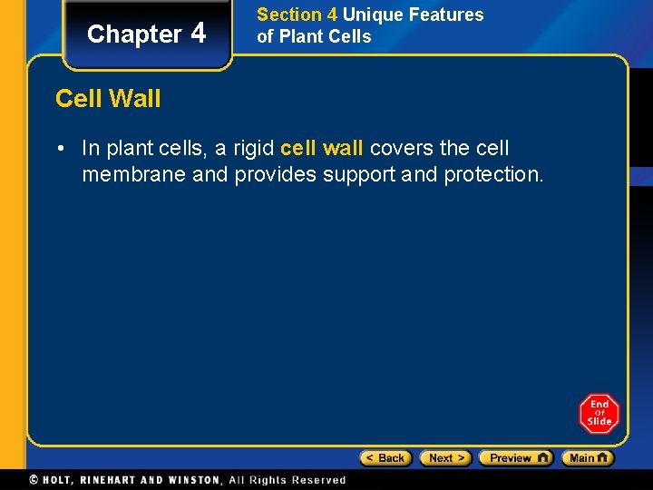Chapter 4 Section 4 Unique Features of Plant Cells Cell Wall • In plant
