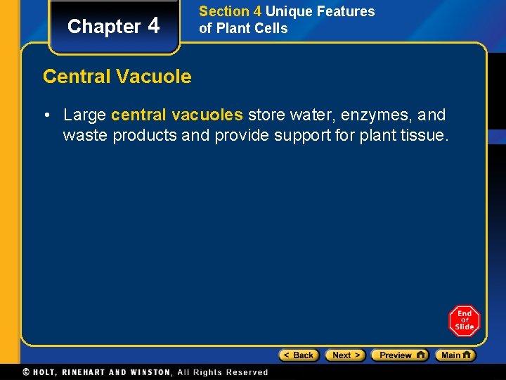 Chapter 4 Section 4 Unique Features of Plant Cells Central Vacuole • Large central