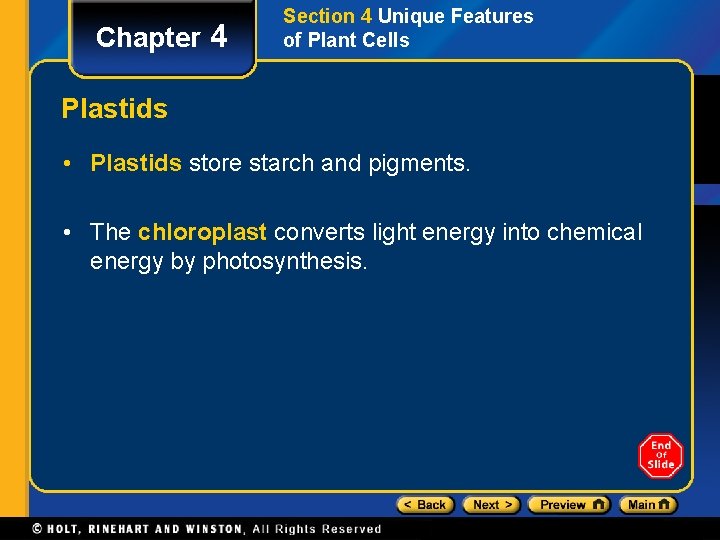 Chapter 4 Section 4 Unique Features of Plant Cells Plastids • Plastids store starch