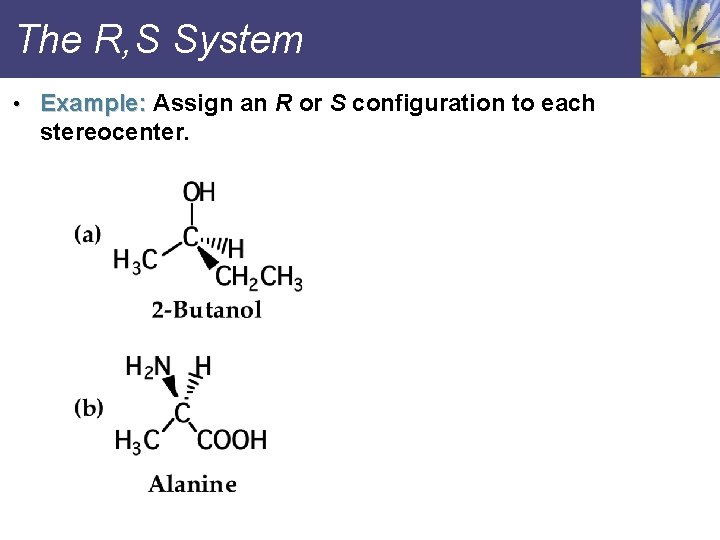 The R, S System • Example: Assign an R or S configuration to each
