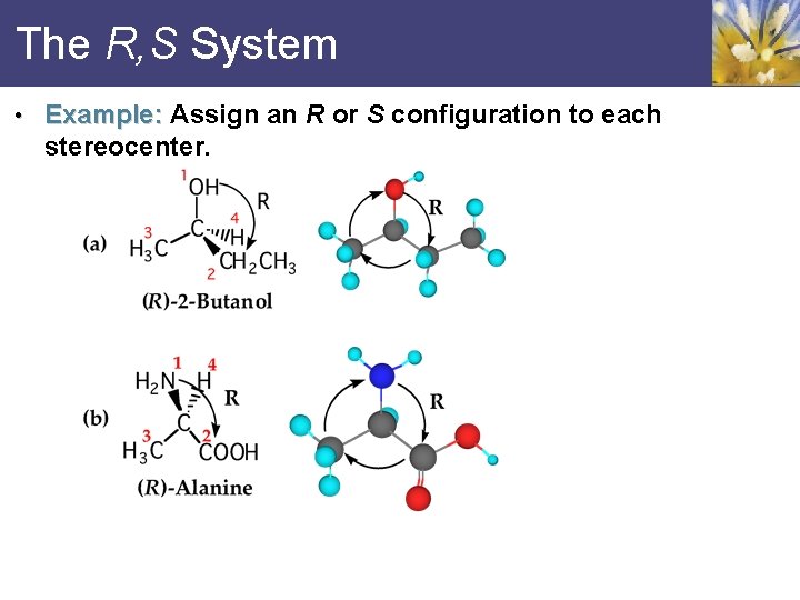 The R, S System • Example: Assign an R or S configuration to each