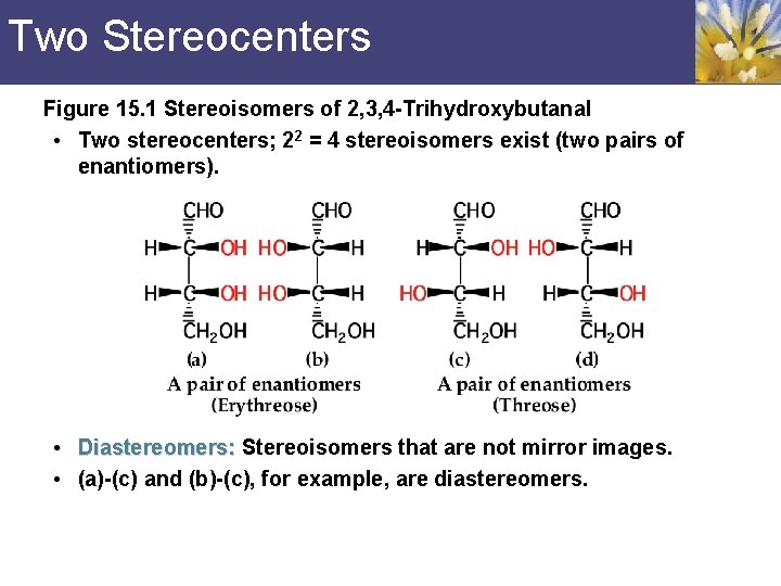Two Stereocenters Figure 15. 1 Stereoisomers of 2, 3, 4 -Trihydroxybutanal • Two stereocenters;