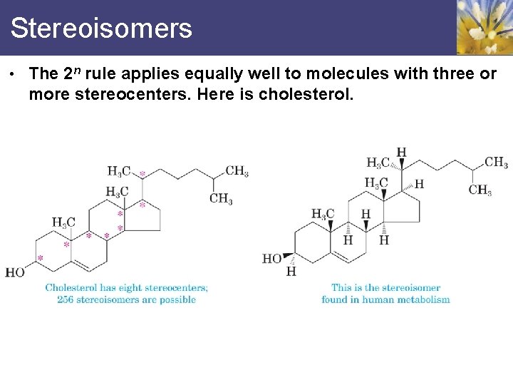Stereoisomers • The 2 n rule applies equally well to molecules with three or