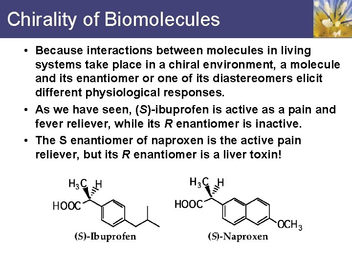 Chirality of Biomolecules • Because interactions between molecules in living systems take place in