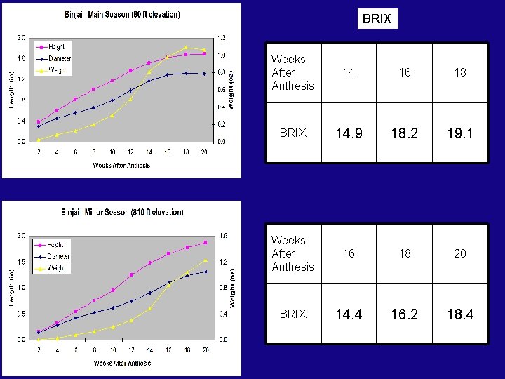 BRIX Weeks After Anthesis 14 16 18 BRIX 14. 9 18. 2 19. 1