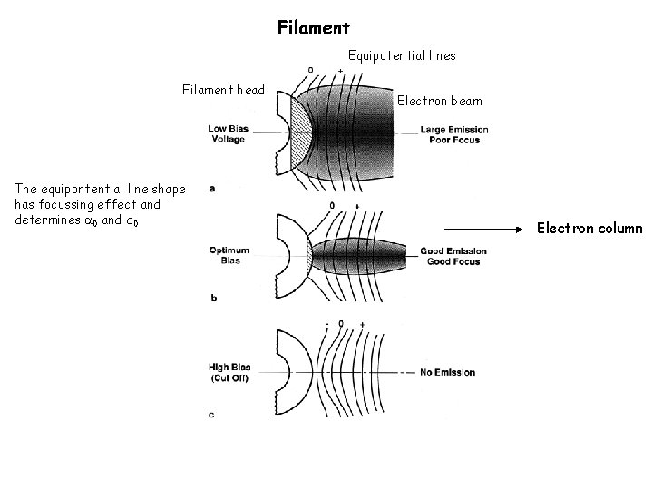 Filament Equipotential lines Filament head The equipontential line shape has focussing effect and determines