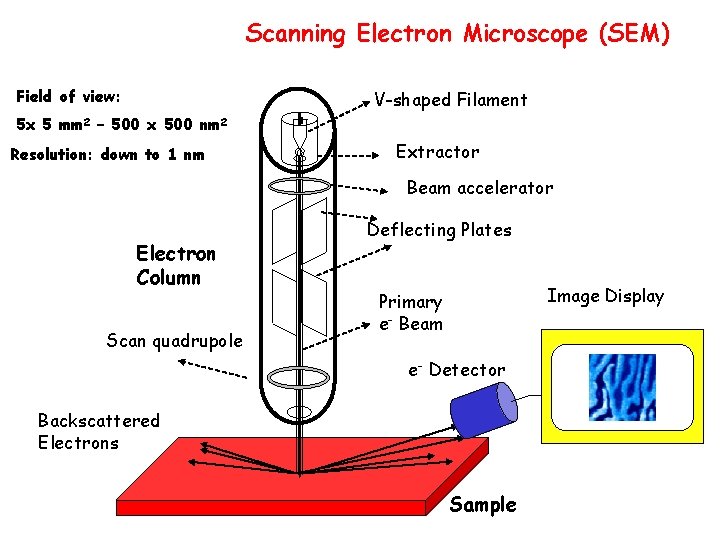 Scanning Electron Microscope (SEM) Field of view: V-shaped Filament 5 x 5 mm 2