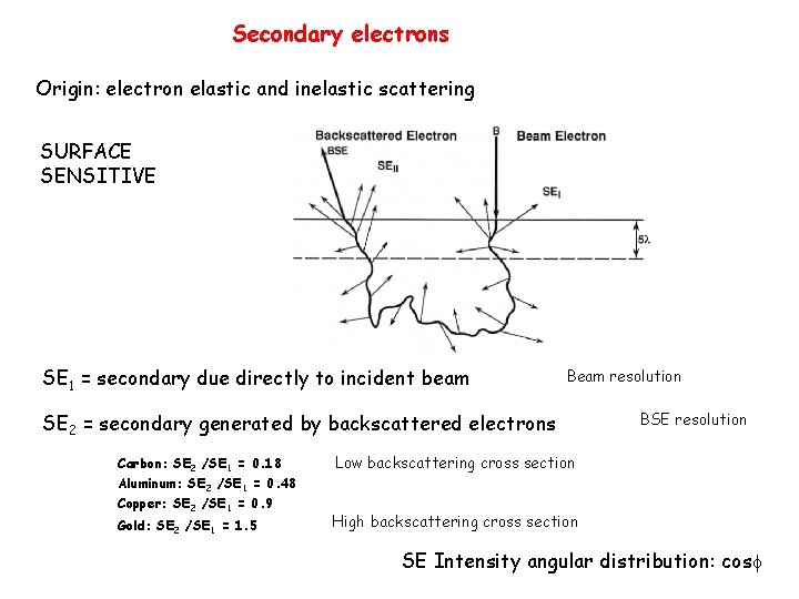 Secondary electrons Origin: electron elastic and inelastic scattering SURFACE SENSITIVE SE 1 = secondary