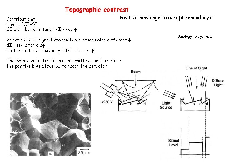Topographic contrast Contributions: Direct BSE+SE SE distribution intensity I ~ sec Positive bias cage