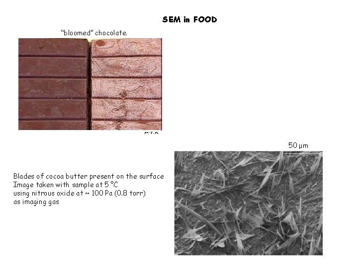 SEM in FOOD ‘‘bloomed’’ chocolate. 50 μm Blades of cocoa butter present on the