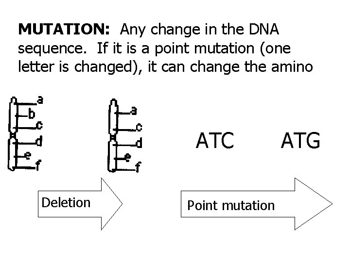 MUTATION: Any change in the DNA sequence. If it is a point mutation (one