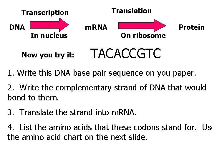  Translation Transcription DNA In nucleus Now you try it: m. RNA On ribosome