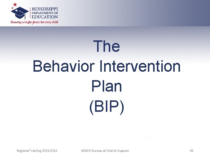 The Behavior Intervention Plan (BIP) Regional Training-2015 -2016 ©MDE-Bureau of District Support 45 
