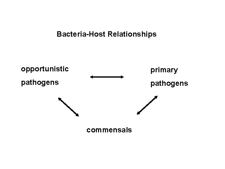 Bacteria-Host Relationships opportunistic primary pathogens commensals 