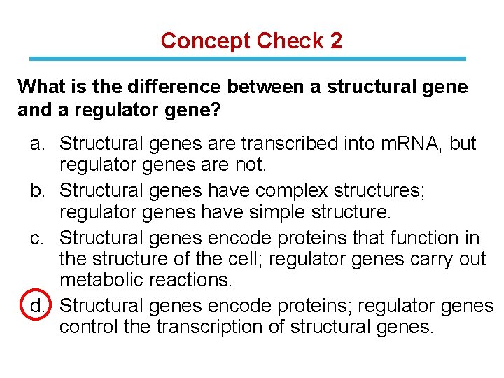 Concept Check 2 What is the difference between a structural gene and a regulator