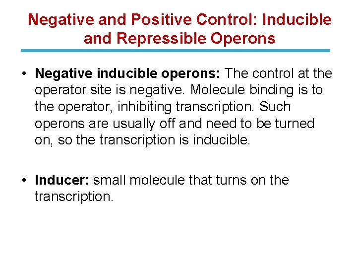 Negative and Positive Control: Inducible and Repressible Operons • Negative inducible operons: The control