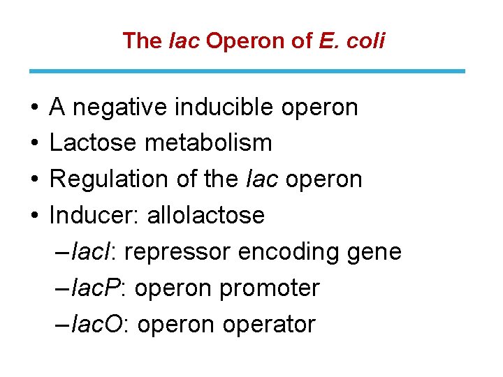 The lac Operon of E. coli • • A negative inducible operon Lactose metabolism