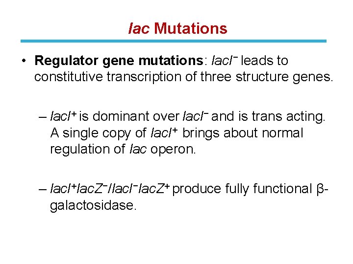 lac Mutations • Regulator gene mutations: lac. I− leads to constitutive transcription of three