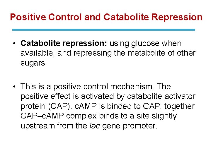 Positive Control and Catabolite Repression • Catabolite repression: using glucose when available, and repressing