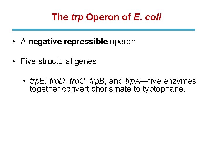 The trp Operon of E. coli • A negative repressible operon • Five structural
