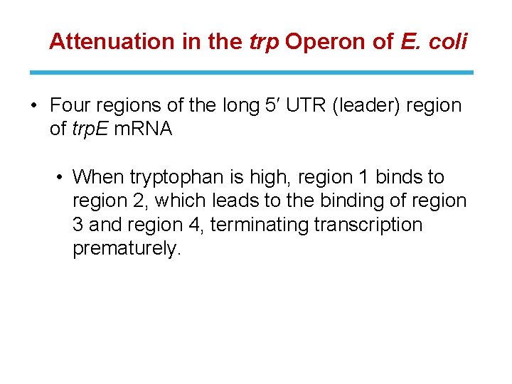 Attenuation in the trp Operon of E. coli • Four regions of the long