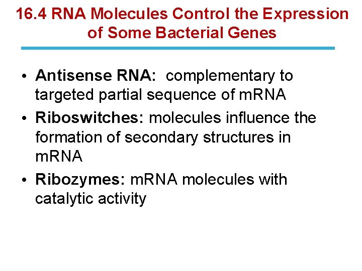 16. 4 RNA Molecules Control the Expression of Some Bacterial Genes • Antisense RNA: