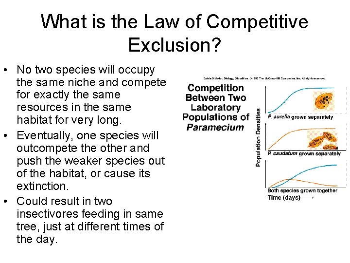 What is the Law of Competitive Exclusion? • No two species will occupy the