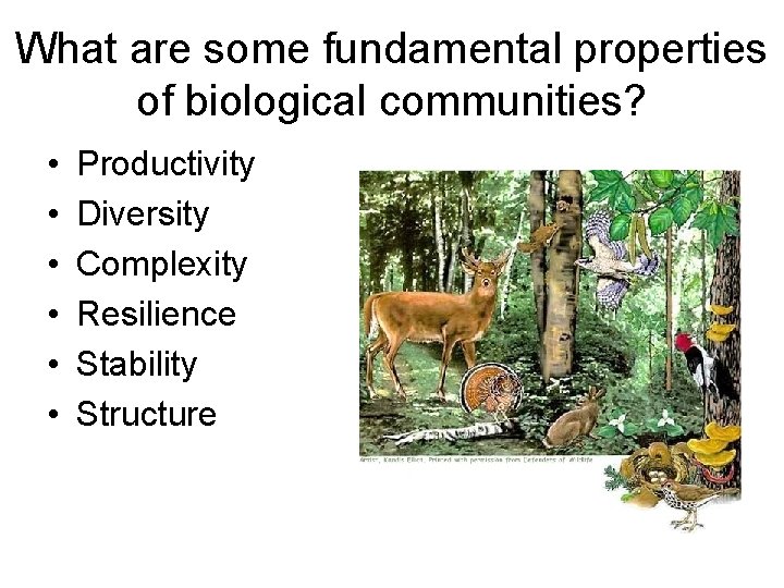 What are some fundamental properties of biological communities? • • • Productivity Diversity Complexity