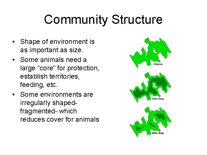 Community Structure • Shape of environment is as important as size. • Some animals