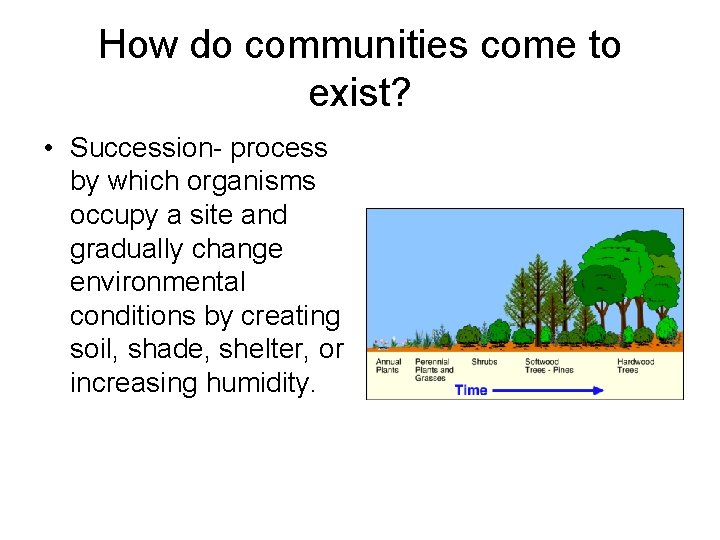 How do communities come to exist? • Succession- process by which organisms occupy a