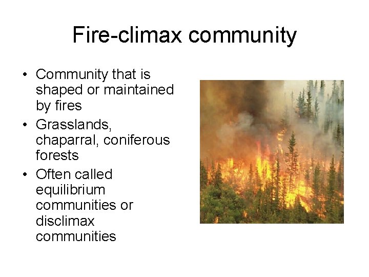 Fire-climax community • Community that is shaped or maintained by fires • Grasslands, chaparral,
