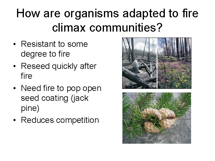 How are organisms adapted to fire climax communities? • Resistant to some degree to
