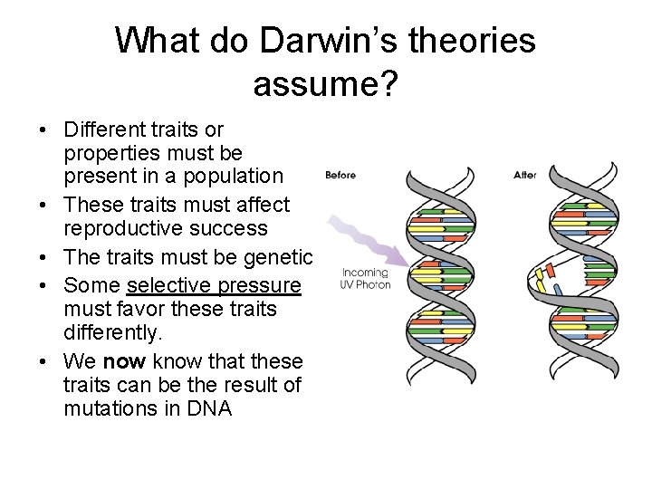 What do Darwin’s theories assume? • Different traits or properties must be present in
