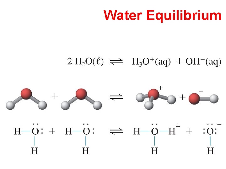 Water Equilibrium 