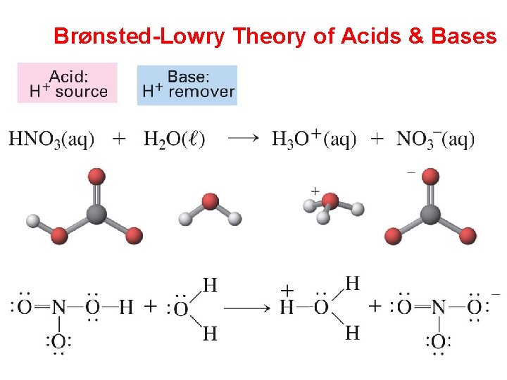 Brønsted-Lowry Theory of Acids & Bases 