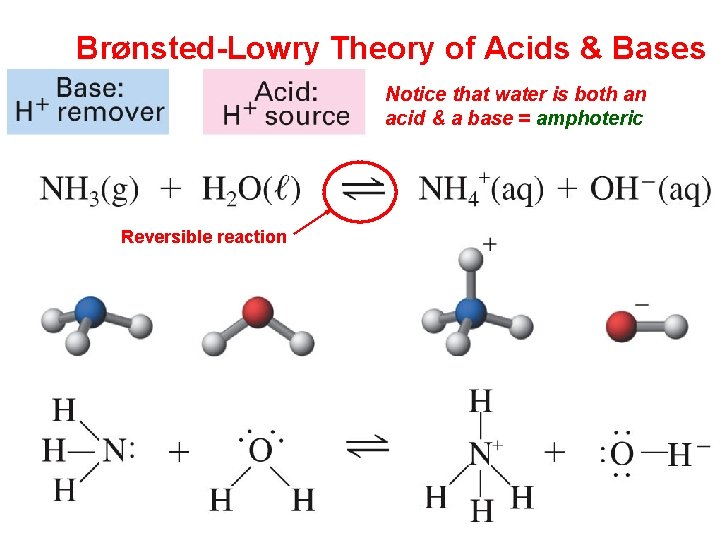 Brønsted-Lowry Theory of Acids & Bases Notice that water is both an acid &