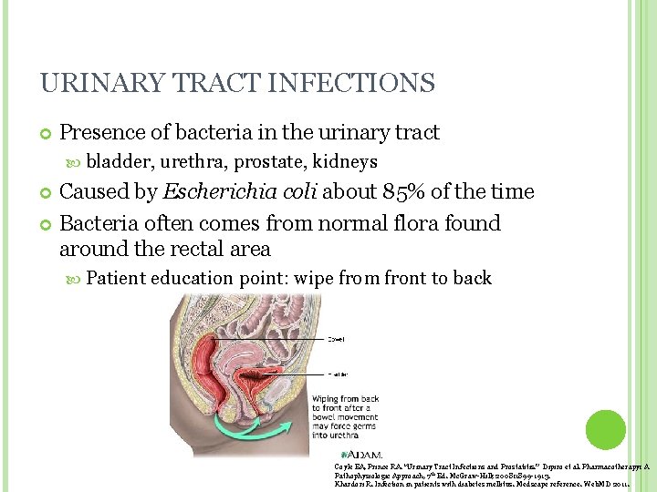 URINARY TRACT INFECTIONS Presence of bacteria in the urinary tract bladder, urethra, prostate, kidneys URINARY TRACT INFECTIONS Presence of bacteria in the urinary tract bladder, urethra, prostate, kidneys