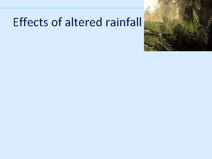 Effects of altered rainfall 