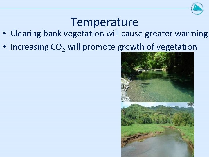 Temperature • Clearing bank vegetation will cause greater warming • Increasing CO 2 will