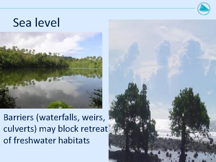 Sea level Barriers (waterfalls, weirs, culverts) may block retreat of freshwater habitats 