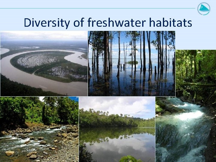 Diversity of freshwater habitats 