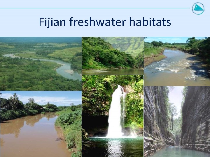 Fijian freshwater habitats 