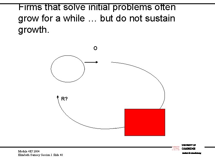 Firms that solve initial problems often grow for a while … but do not