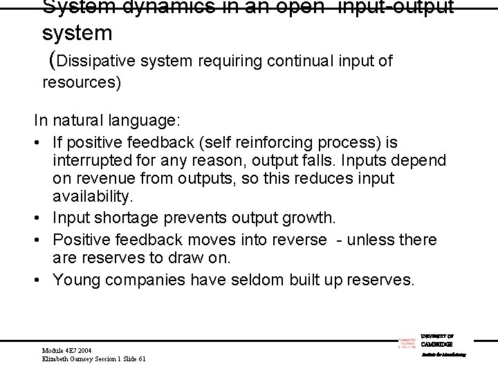 System dynamics in an open input-output system (Dissipative system requiring continual input of resources)