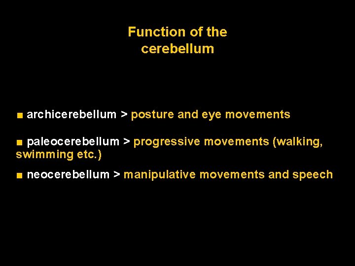 Function of the cerebellum ■ archicerebellum > posture and eye movements ■ paleocerebellum >