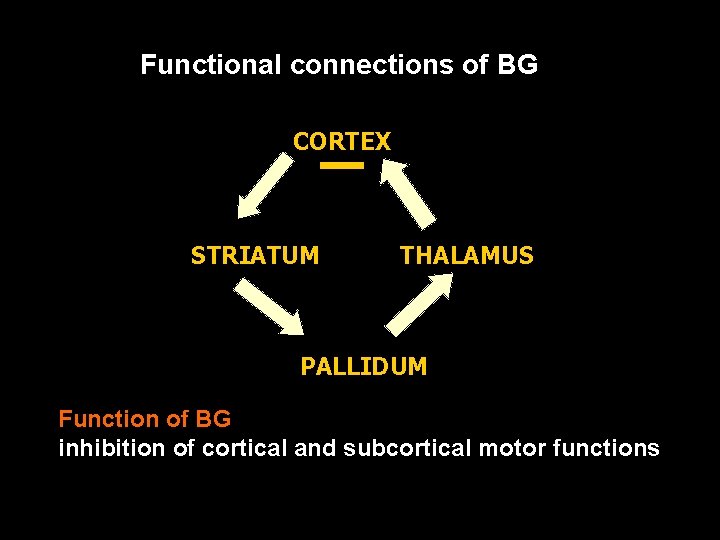 Functional connections of BG CORTEX STRIATUM THALAMUS PALLIDUM Function of BG inhibition of cortical