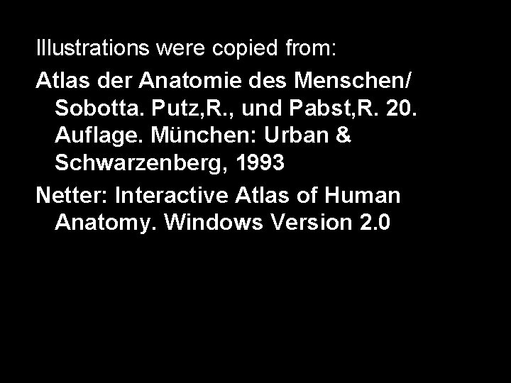 Illustrations were copied from: Atlas der Anatomie des Menschen/ Sobotta. Putz, R. , und